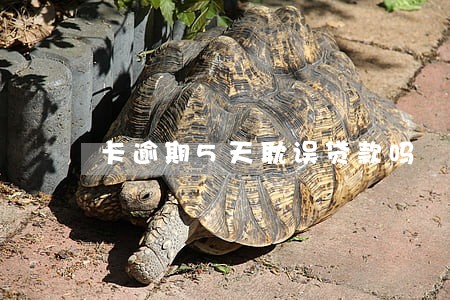 卡逾期5天耽误贷款吗