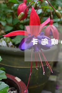 卡逾期60天利息多少钱
