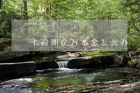 卡逾期6万本金怎么办