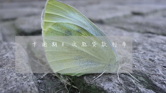 卡逾期8次能贷款利率
