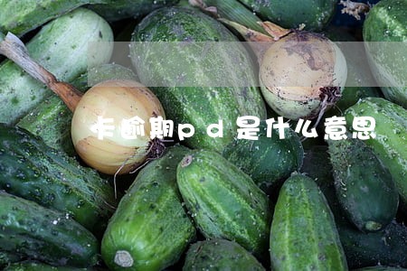 卡逾期pd是什么意思