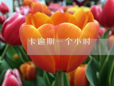 卡逾期一个小时
