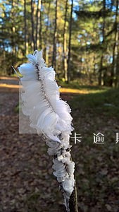 卡逾期一个月还0