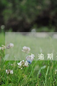 卡逾期一次29天内