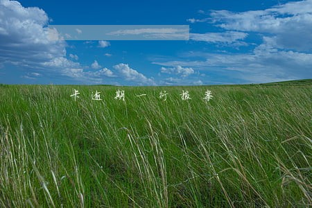 卡逾期一行报案