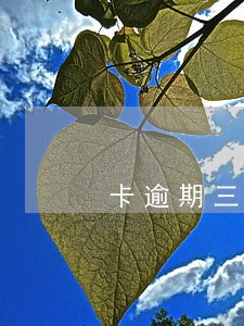 卡逾期三个月超过5万 卡逾期三个月超过5万