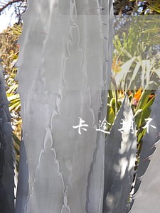 卡逾期不到信息