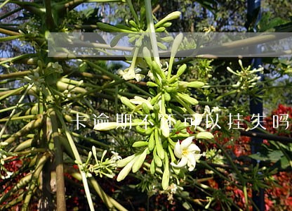 卡逾期不还可以挂失吗