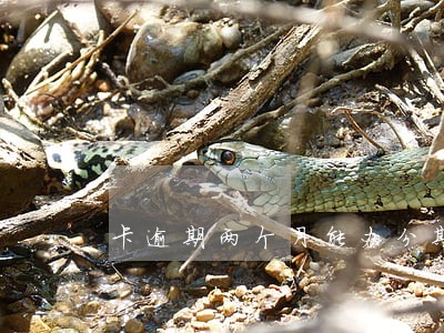 卡逾期两个月能办分期吗