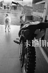 卡逾期两天就收利息