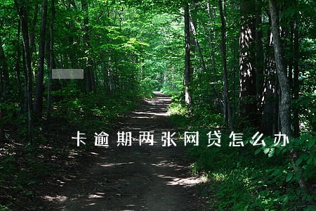卡逾期两张网贷怎么办 卡逾期两张网贷怎么办