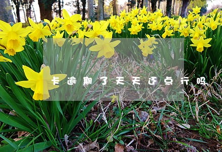 卡逾期了天天还点行吗