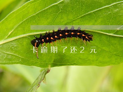 卡逾期了还2元