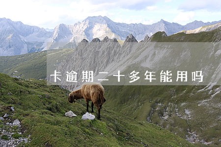 卡逾期二十多年能用吗