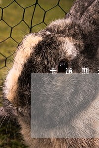 卡逾期五万是单张还是多张