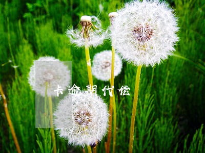 卡逾期代偿
