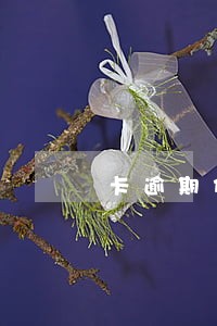 卡逾期代还保险