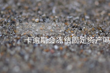卡逾期会冻结固定资产吗