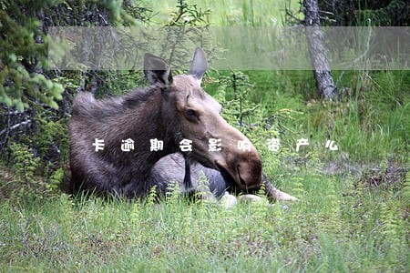 卡逾期会影响资产么