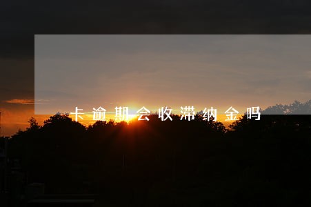 卡逾期会收滞纳金吗
