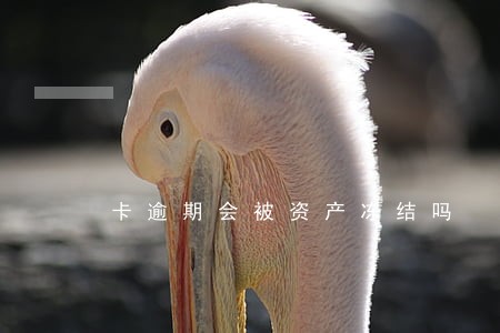 卡逾期会被资产冻结吗