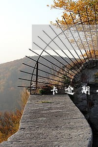 卡逾期会被通缉嘛