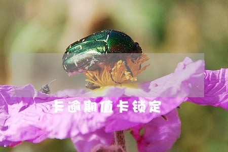 卡逾期值卡锁定