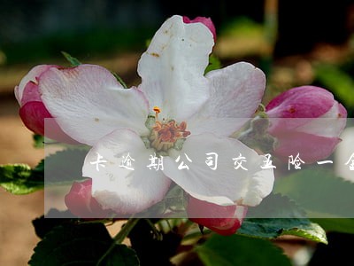 卡逾期公司交五险一金