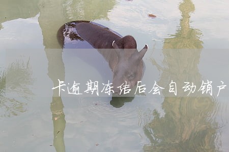 卡逾期冻结后会自动销户吗