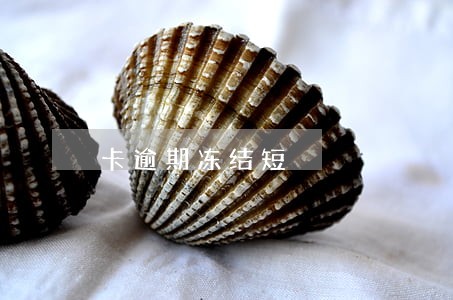 卡逾期冻结短