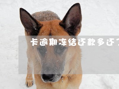 卡逾期冻结还款多还了