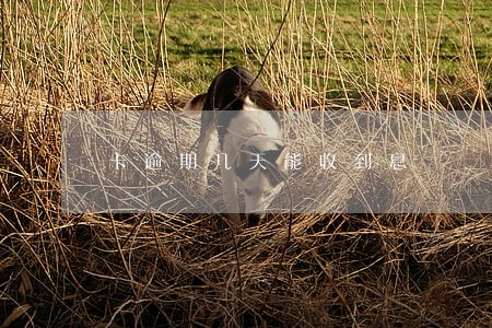 卡逾期几天能收到息