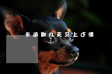 卡逾期几天马上还清
