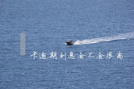 卡逾期利息会不会很高