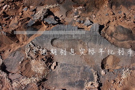卡逾期利息实际年化利率