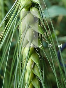 卡逾期利息涨一半