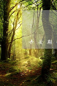 卡逾期半年还可以刷卡吗