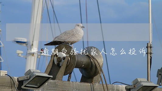 卡逾期受骚扰家人怎么投诉