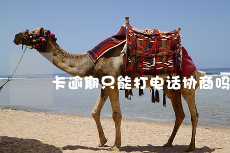 卡逾期只能打电话协商吗