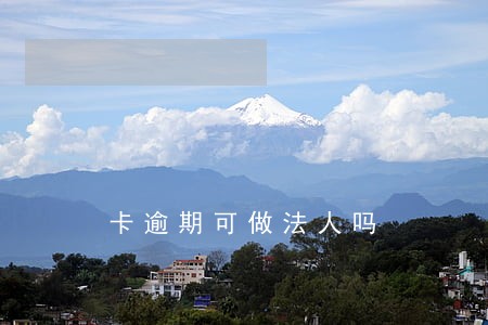 卡逾期可做法人吗