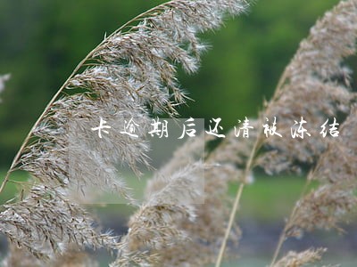 卡逾期后还清被冻结
