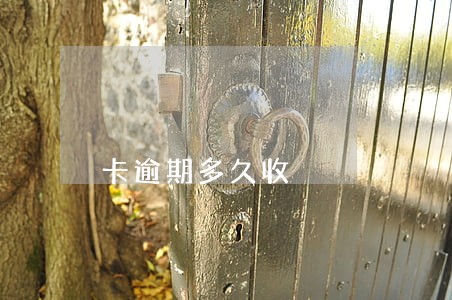 卡逾期多久收