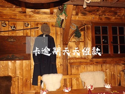 卡逾期天天催款
