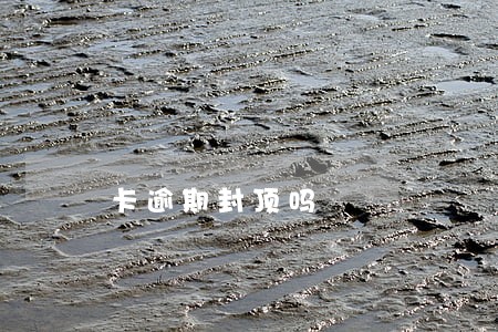 卡逾期封顶吗
