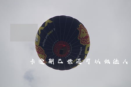 卡逾期已偿还可以做法人吗