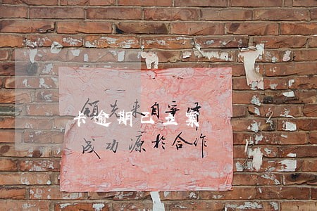 卡逾期已立案