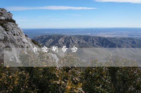 卡逾期带金