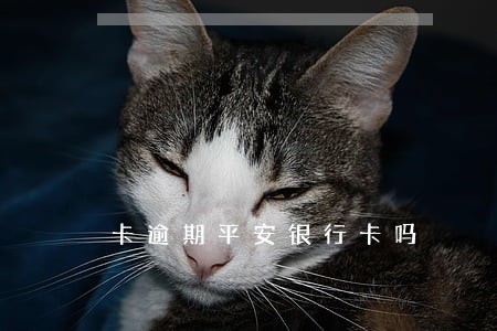卡逾期平安银行卡吗