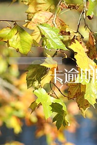 卡逾期影响一建