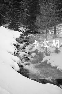 卡逾期影响考在编吗